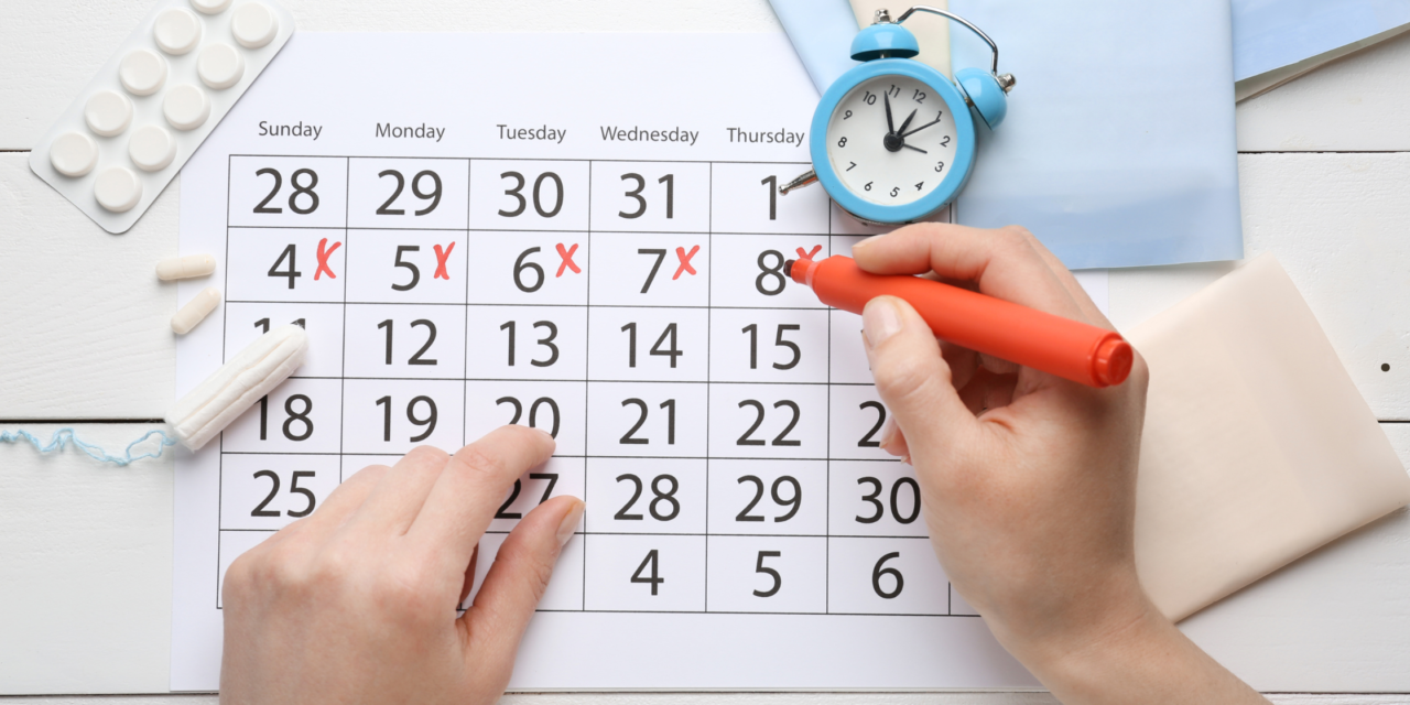 Joining the dots between periods, pregnancy, and perimenopause